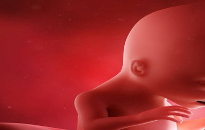 17. teden nosečnosti