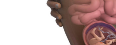 18. teden nosečnosti