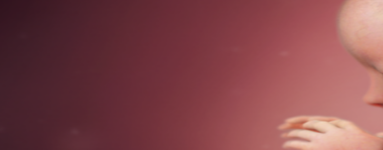 19. teden nosečnosti