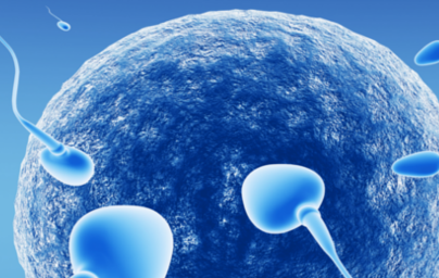 2. teden nosečnosti