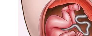 20. teden nosečnosti