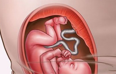 20. teden nosečnosti