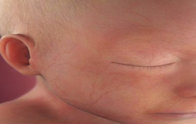 21. teden nosečnosti