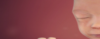 22. teden nosečnosti