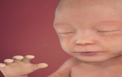 22. teden nosečnosti