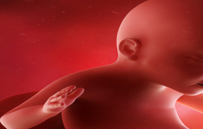 23. teden nosečnosti