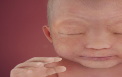 24. teden nosečnosti