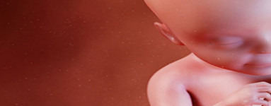 28. teden nosečnosti