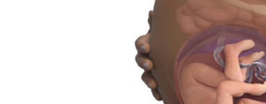 29. teden nosečnosti