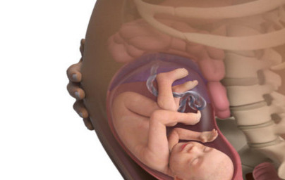 29. teden nosečnosti