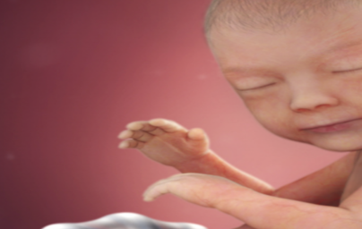 30. teden nosečnosti