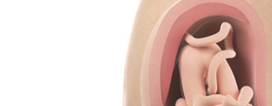 32. teden nosečnosti