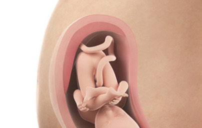 32. teden nosečnosti