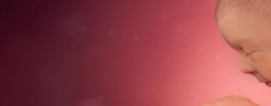 33. teden nosečnosti