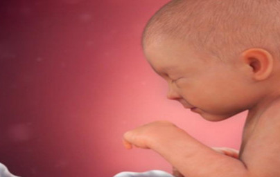 33. teden nosečnosti