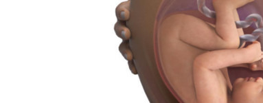 34. teden nosečnosti