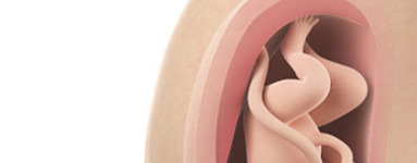 35. teden nosečnosti