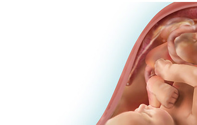 36. teden nosečnosti