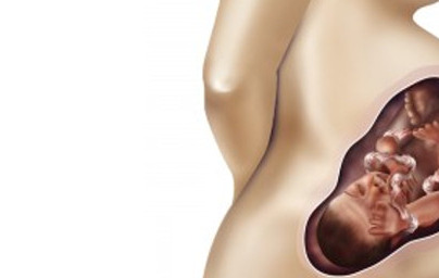 37. teden nosečnosti 37. teden nosečnosti