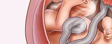 39. teden nosečnosti