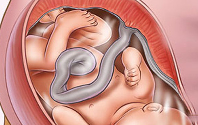 39. teden nosečnosti 39. teden nosečnosti