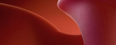 4. teden nosečnosti