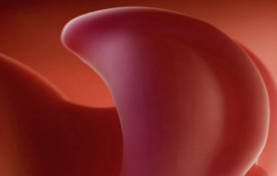 4. teden nosečnosti