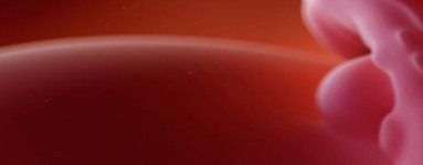 5. teden nosečnosti