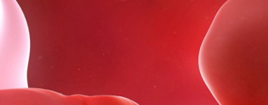 7. teden nosečnosti