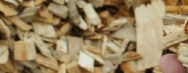 Celulosa (Cellulose)