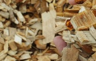 Celulosa (Cellulose) Celulosa (Cellulose)