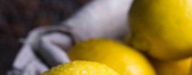 Ácido cítrico (Citric Acid)