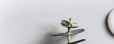 Izoamil lavrat (Isoamyl Laurate)