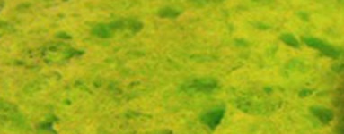 Carbonato de potasio (Potassium Carbonate)