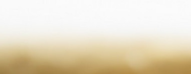 Cera de carnaúba (Copernicia Cerifera Wax)