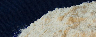 Goma xantana (Xanthan Gum)