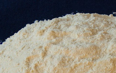 Goma xantana (Xanthan Gum)