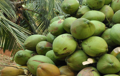 Lavril glukozid (Lauryl Glucoside)