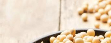 Lisolecitina (Lysolecithin)