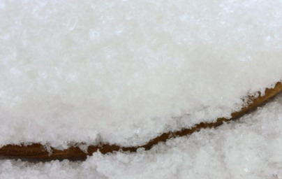 Estearato de magnesio (Magnesium Stearate)