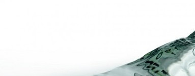  Ácido láctico (Lactic Acid)