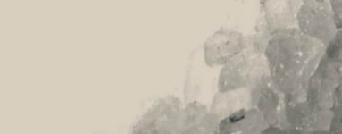 PCA sódico (Sodium PCA)