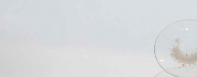 Natrijev fitat (Sodium Phytate)