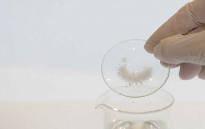 Natrijev fitat (Sodium Phytate)