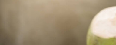 Cocoato de sodio (Sodium Cocoate)