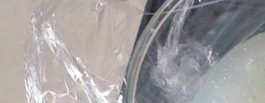 Goma Sclerotium (Sclerotium Gum)