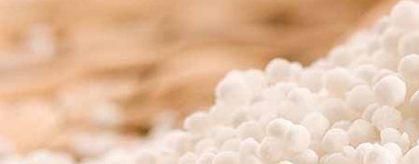 Almidón de tapioca (Tapioca Starch)