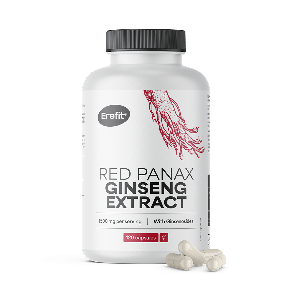 Ginseng rojo Panax.