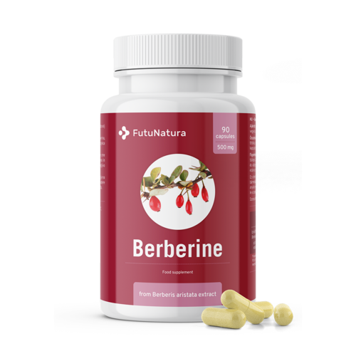 Berberin 500 mg del extracto de Berberis aristataBerberina 500 mg del extracto de Berberis aristata