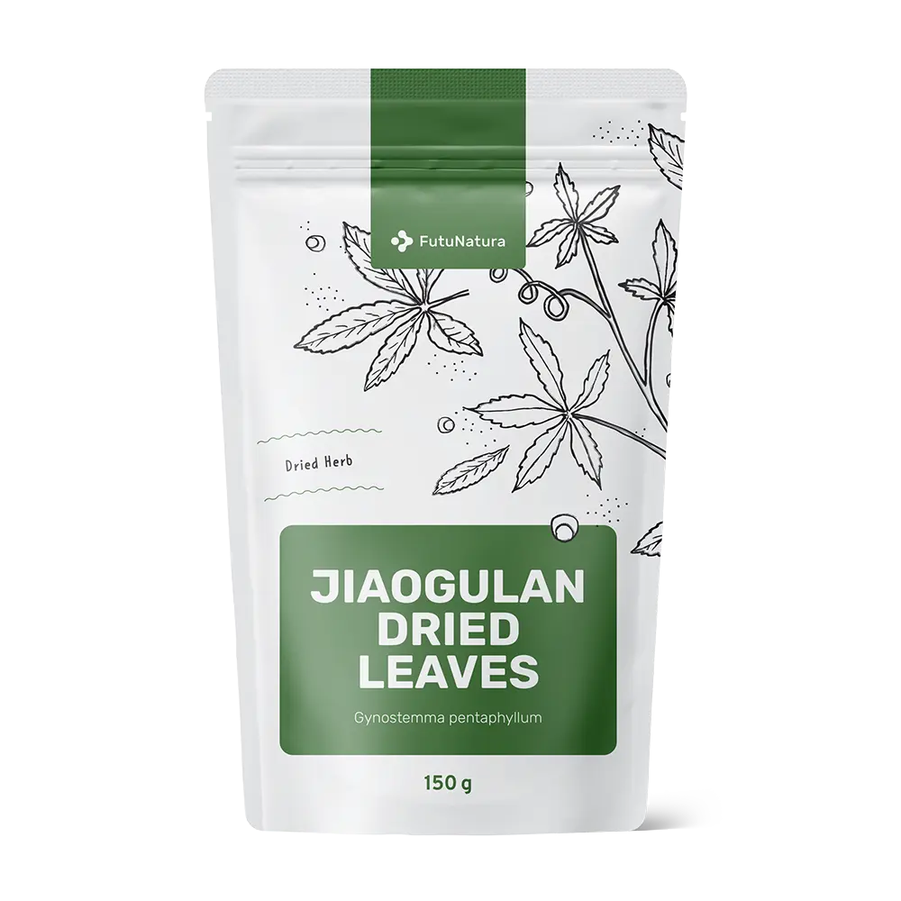 Jiaogulan hojas secas